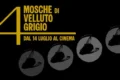 4 mosche di velluto grigio: prove generali di un capolavoro